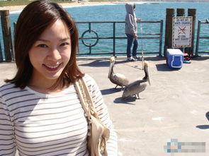 胡嘉欣个人资料,才华横溢的年轻才女，多领域成就斐然